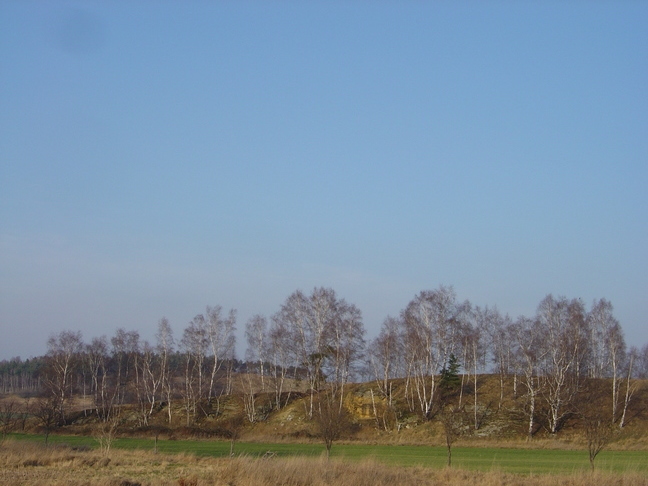 DSC07568